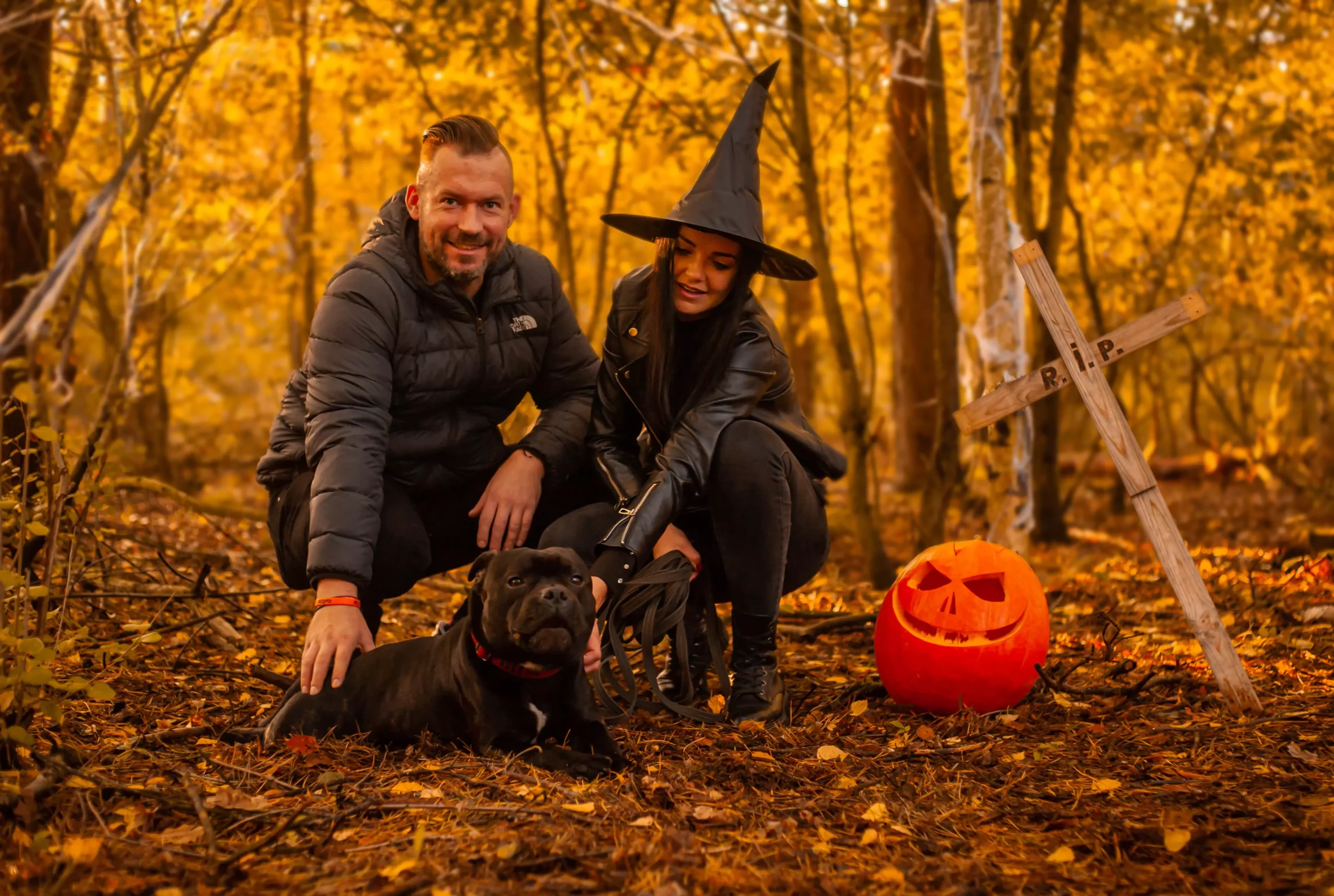 Sesja dla psa Poznań