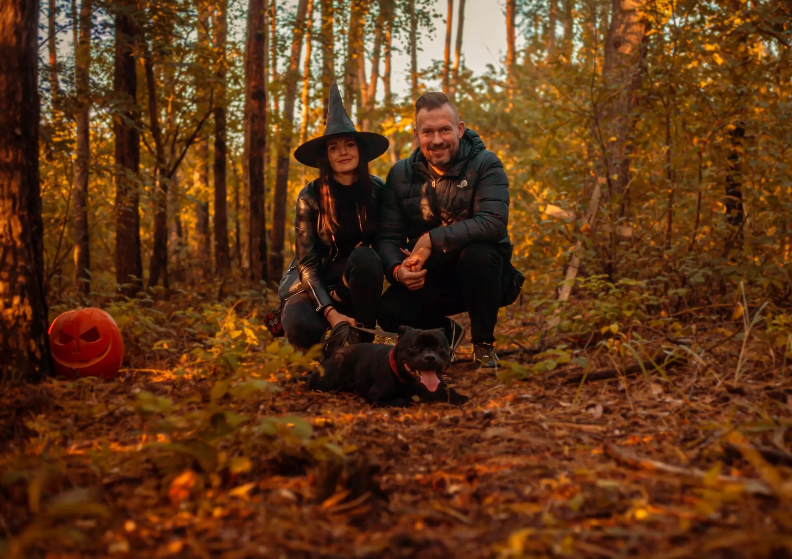 Sesja dla psa Poznań