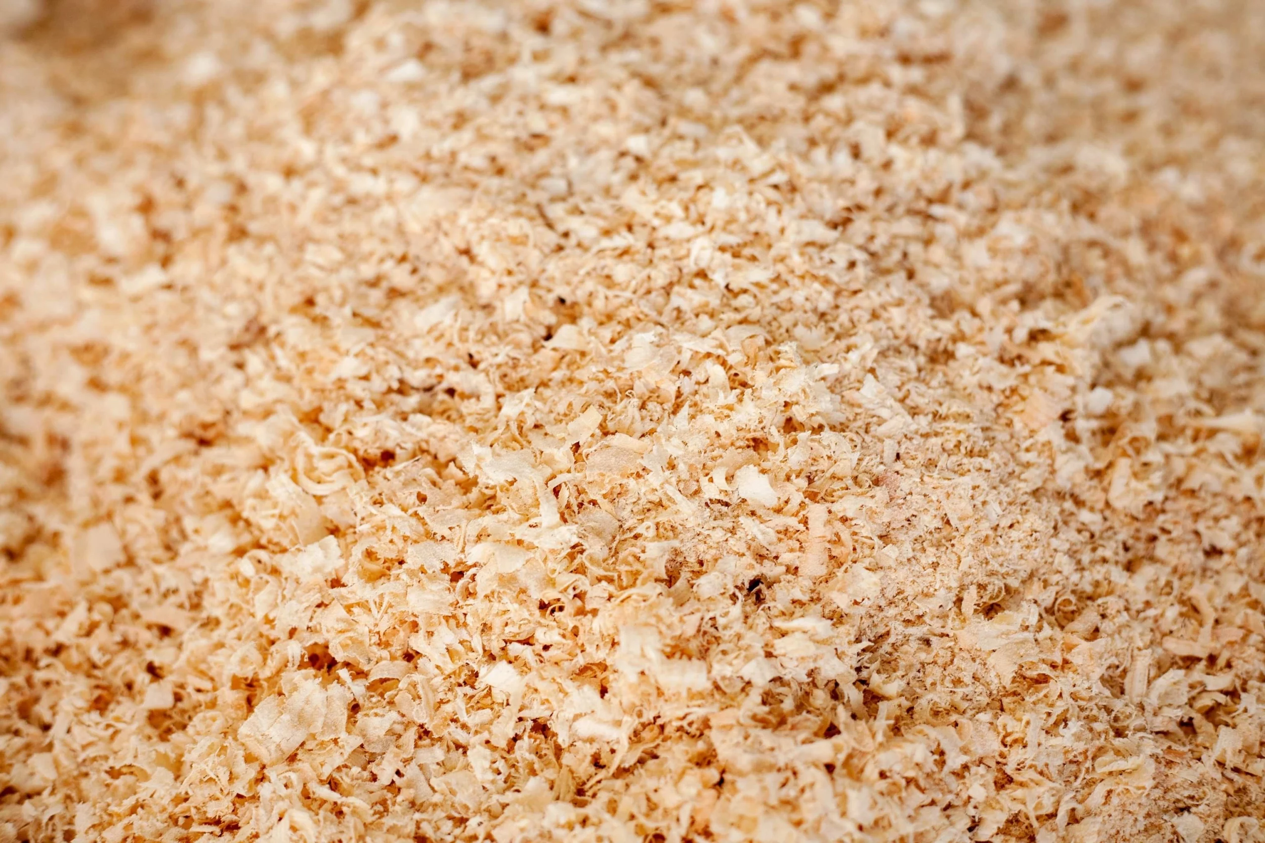 Sesje produktowe Poznań