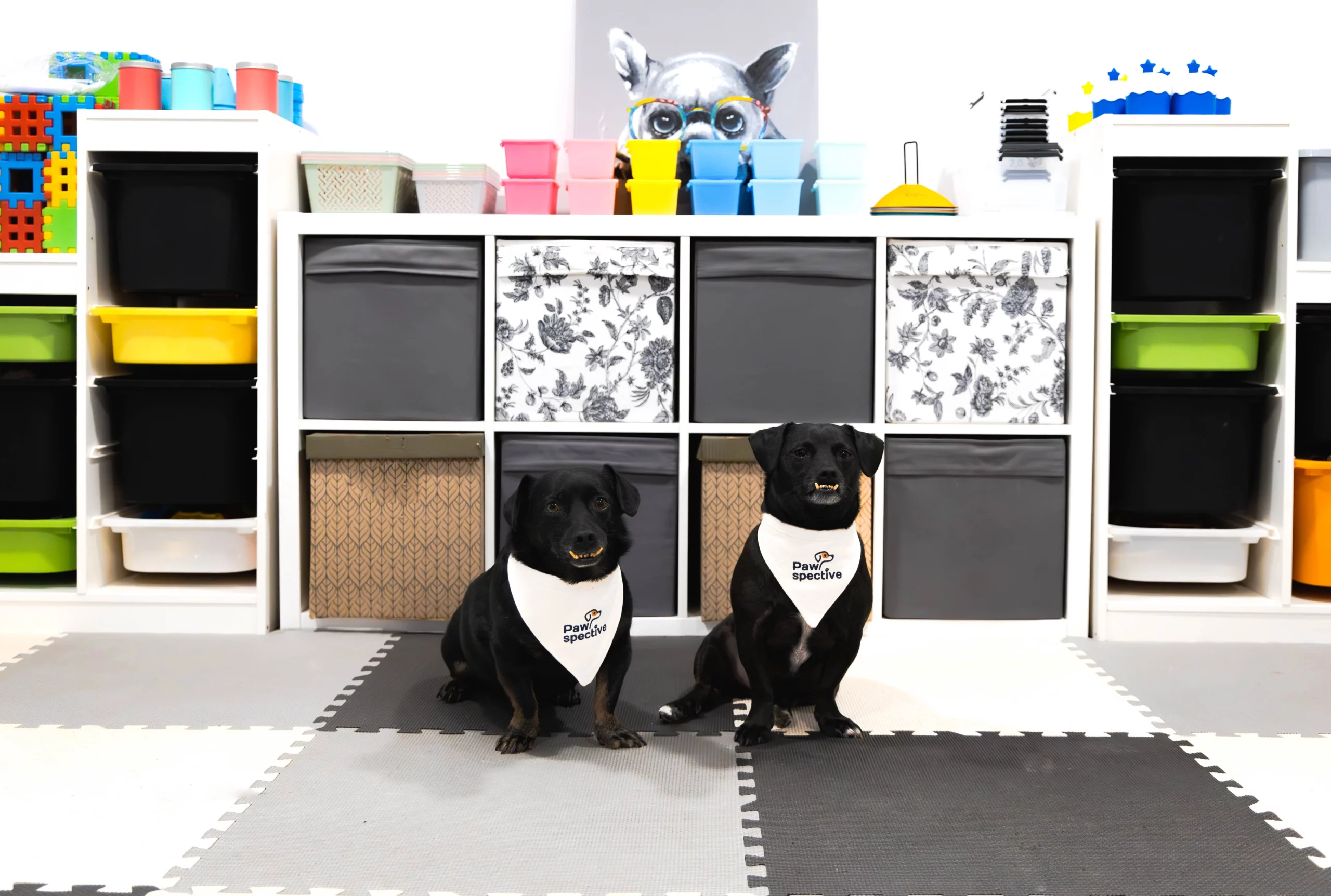 Fotograf biznesowy Poznań