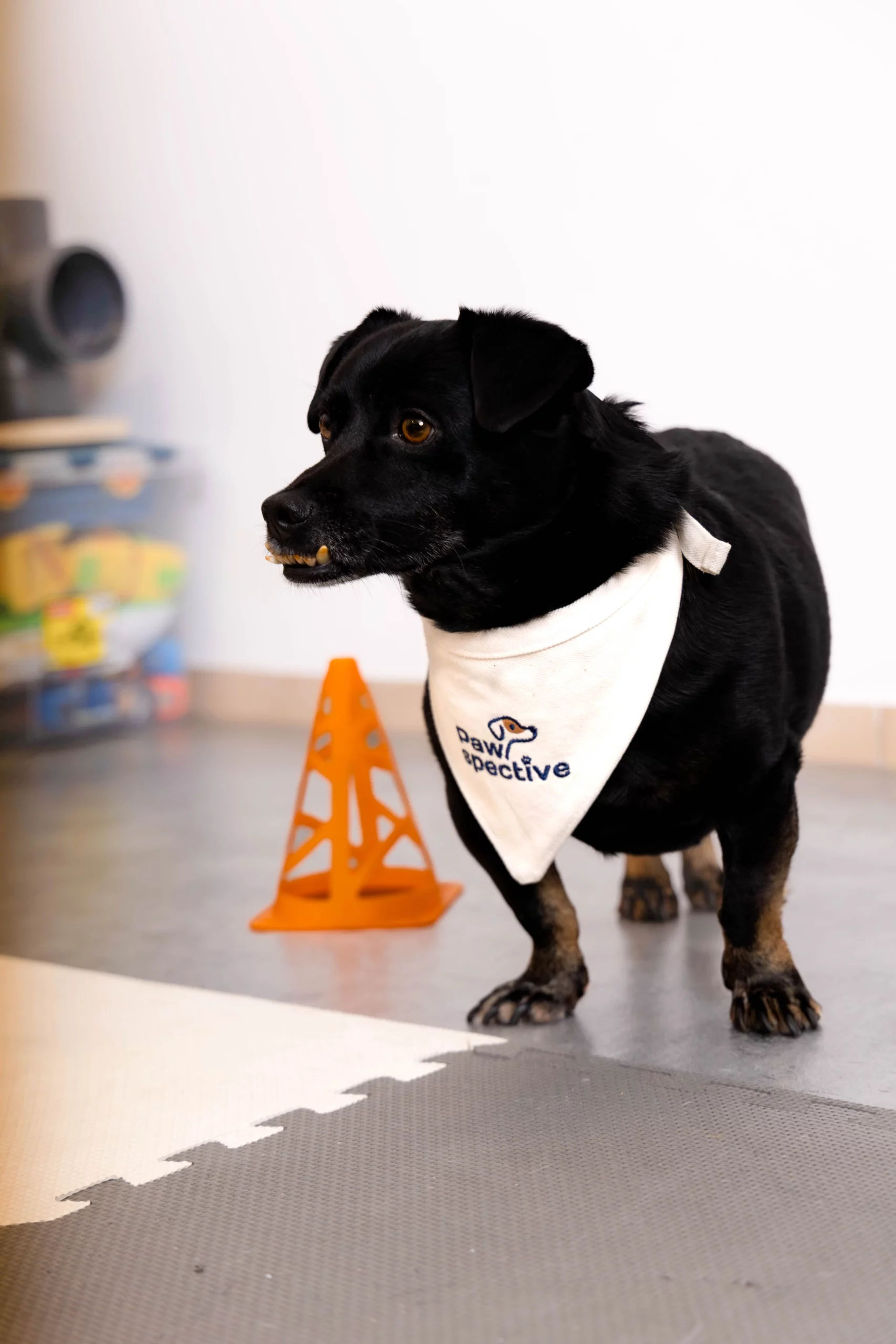 Fotograf biznesowy Poznań