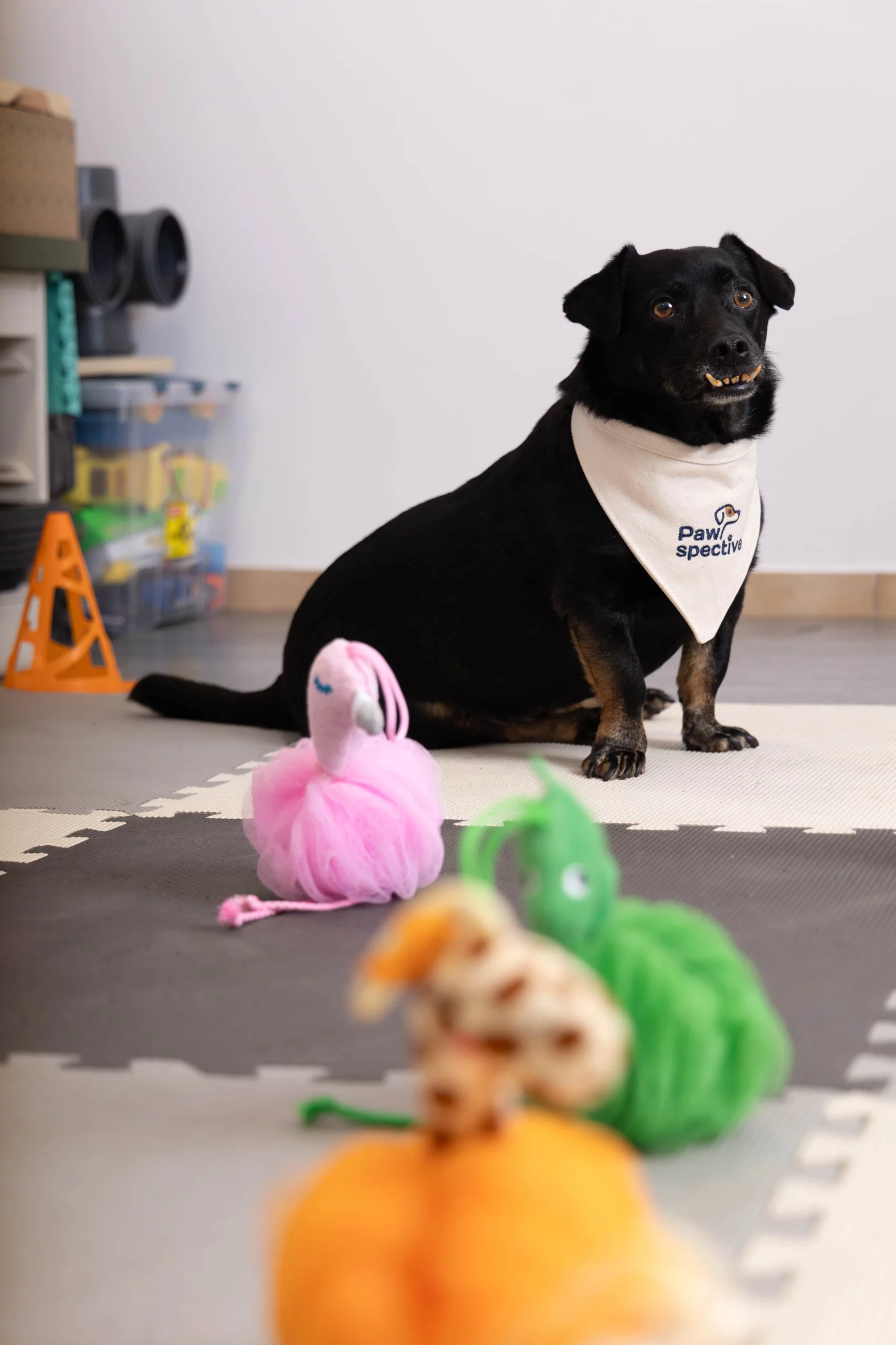 Fotograf biznesowy Poznań