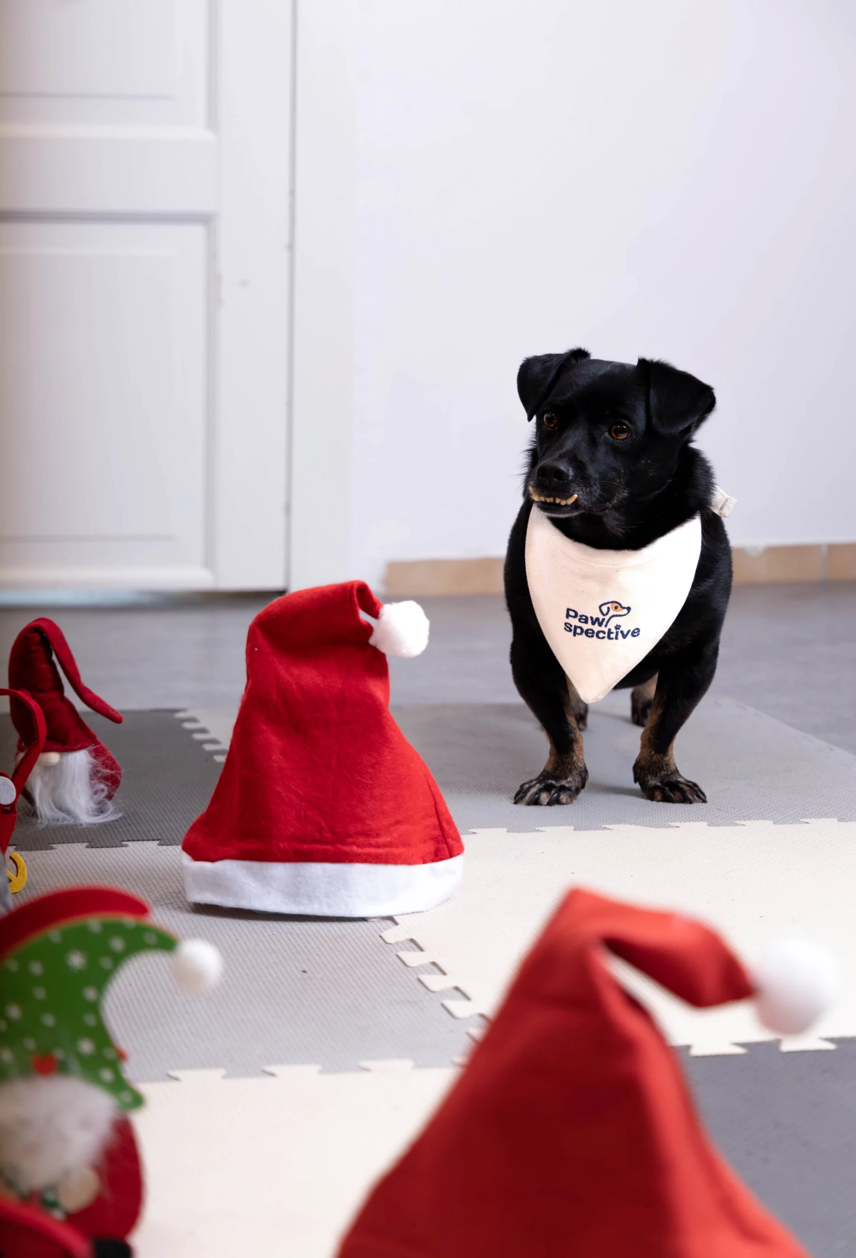 Fotograf biznesowy Poznań