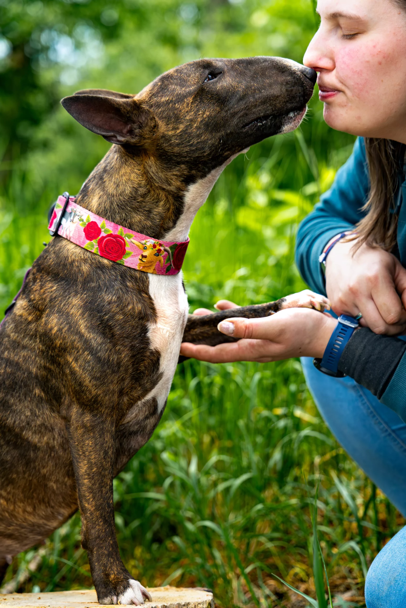 Sesja z psem Poznań