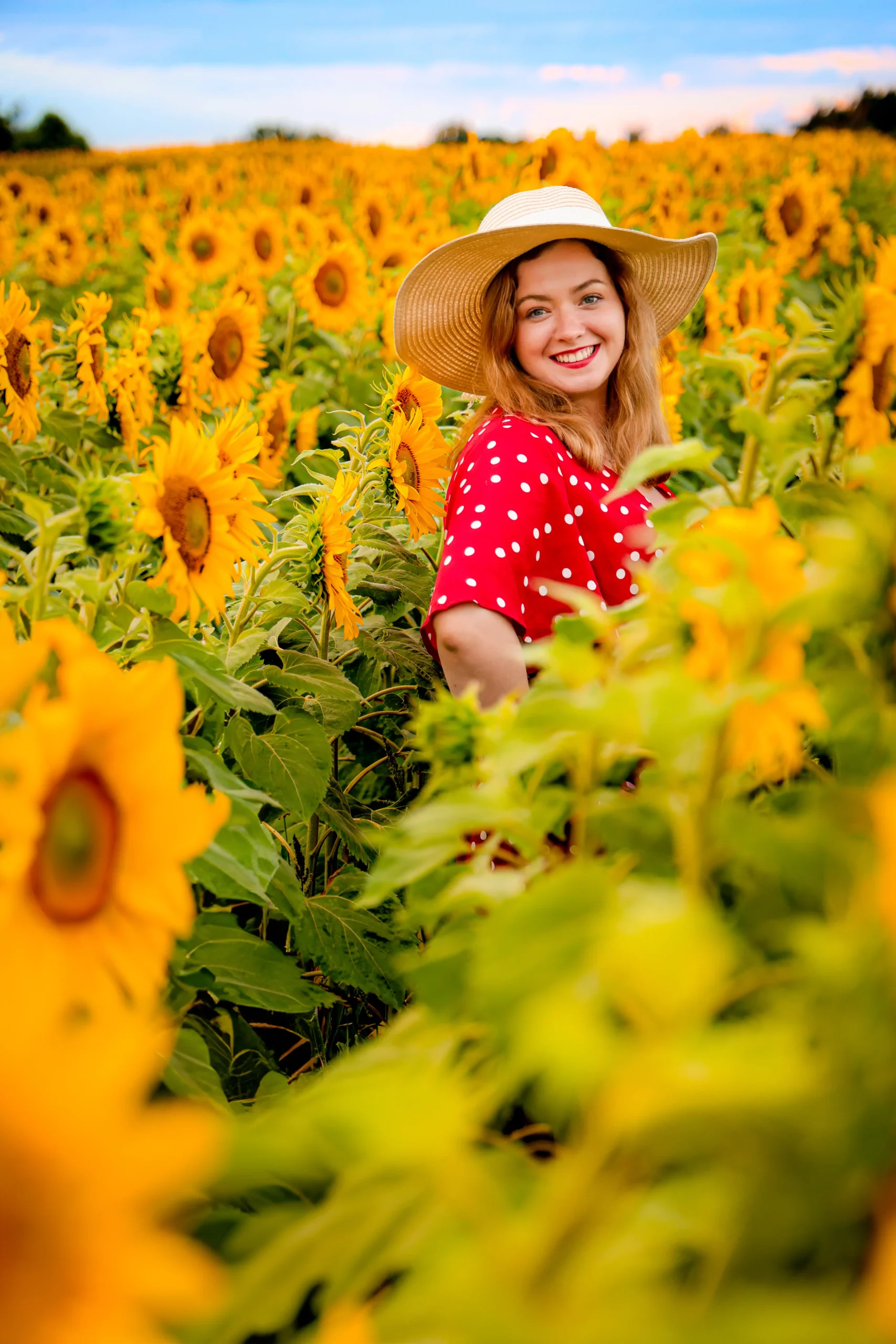 Sesja w słonecznikach Poznań