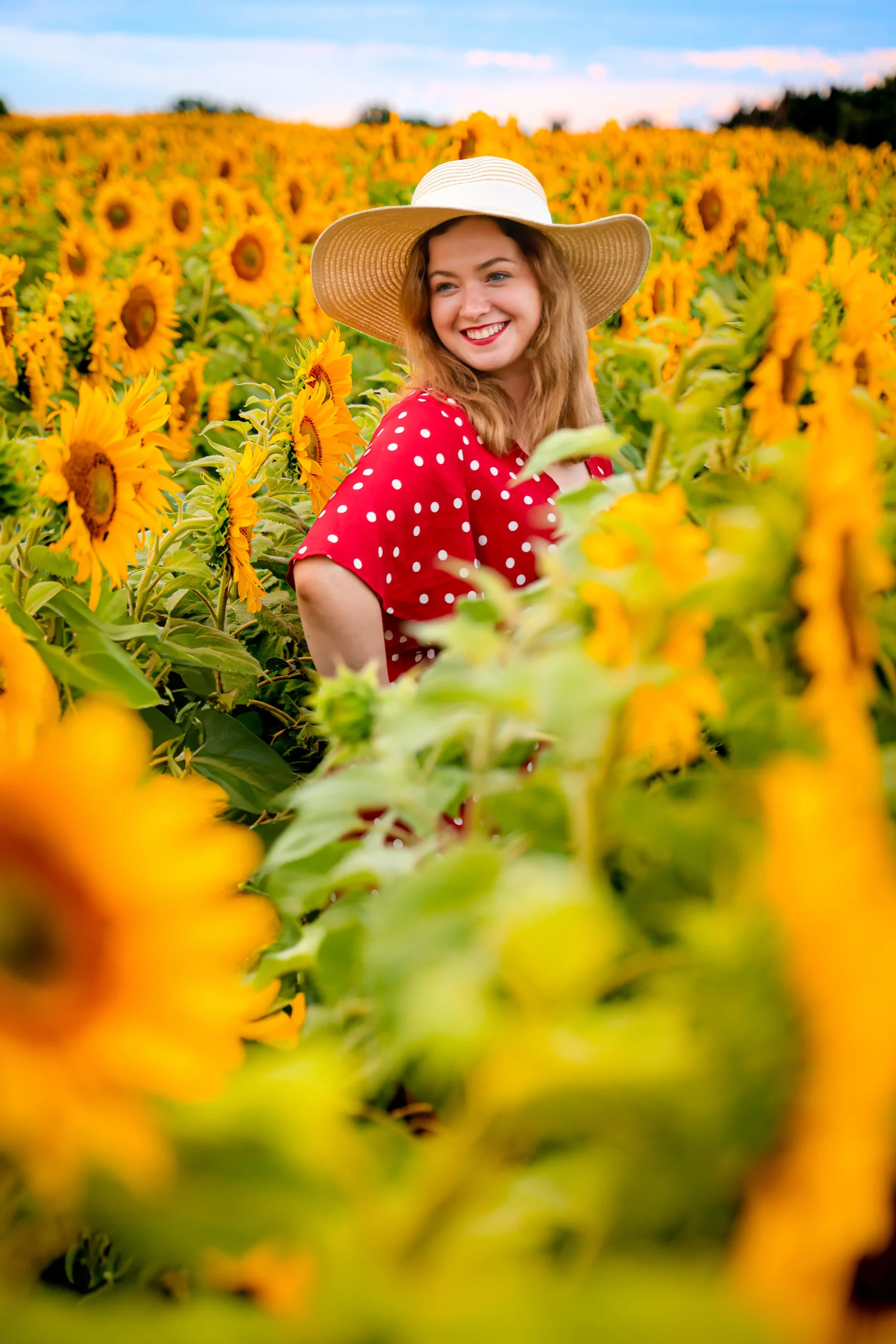 Sesja w słonecznikach Poznań