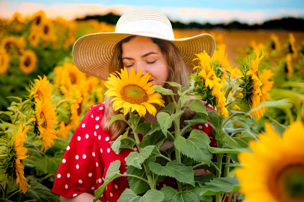 Sesja w słonecznikach Poznań