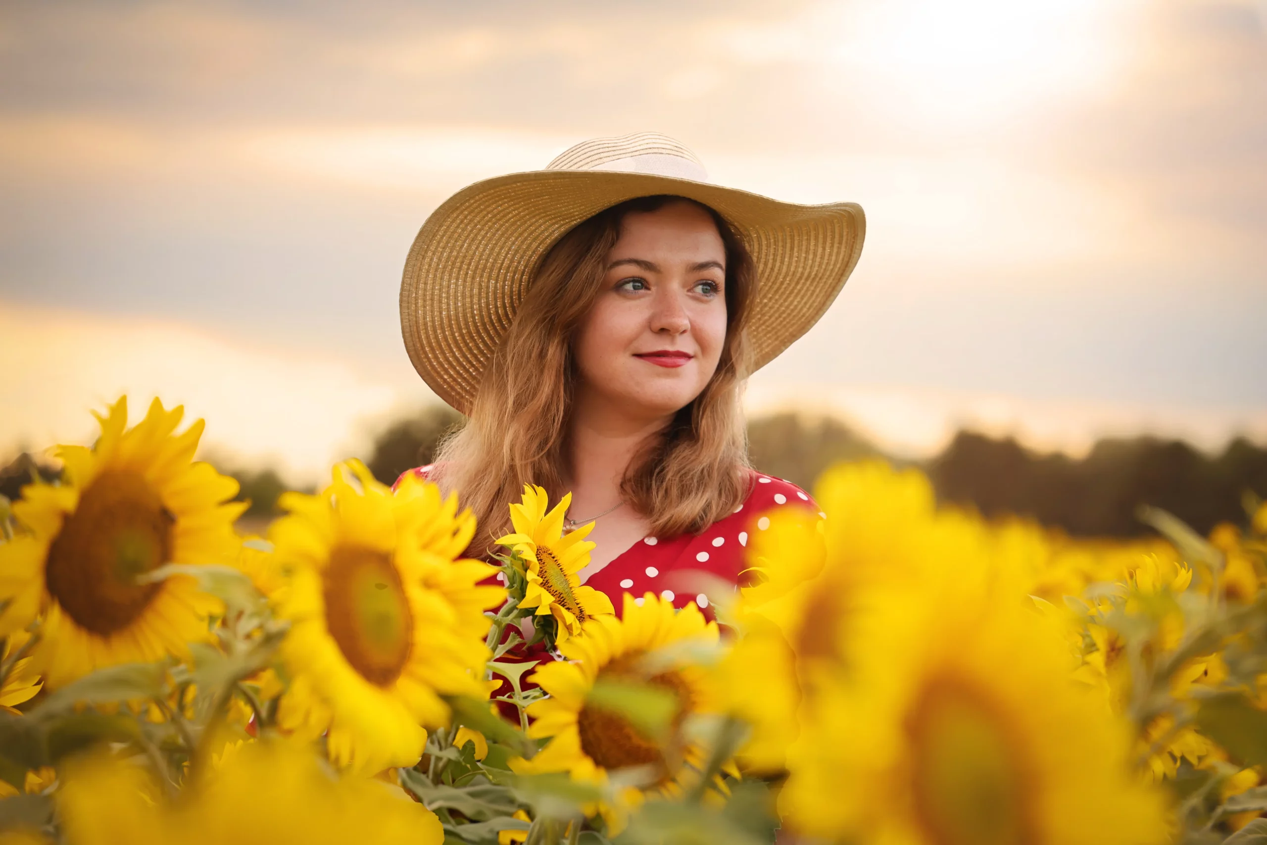 Sesja w słonecznikach Poznań