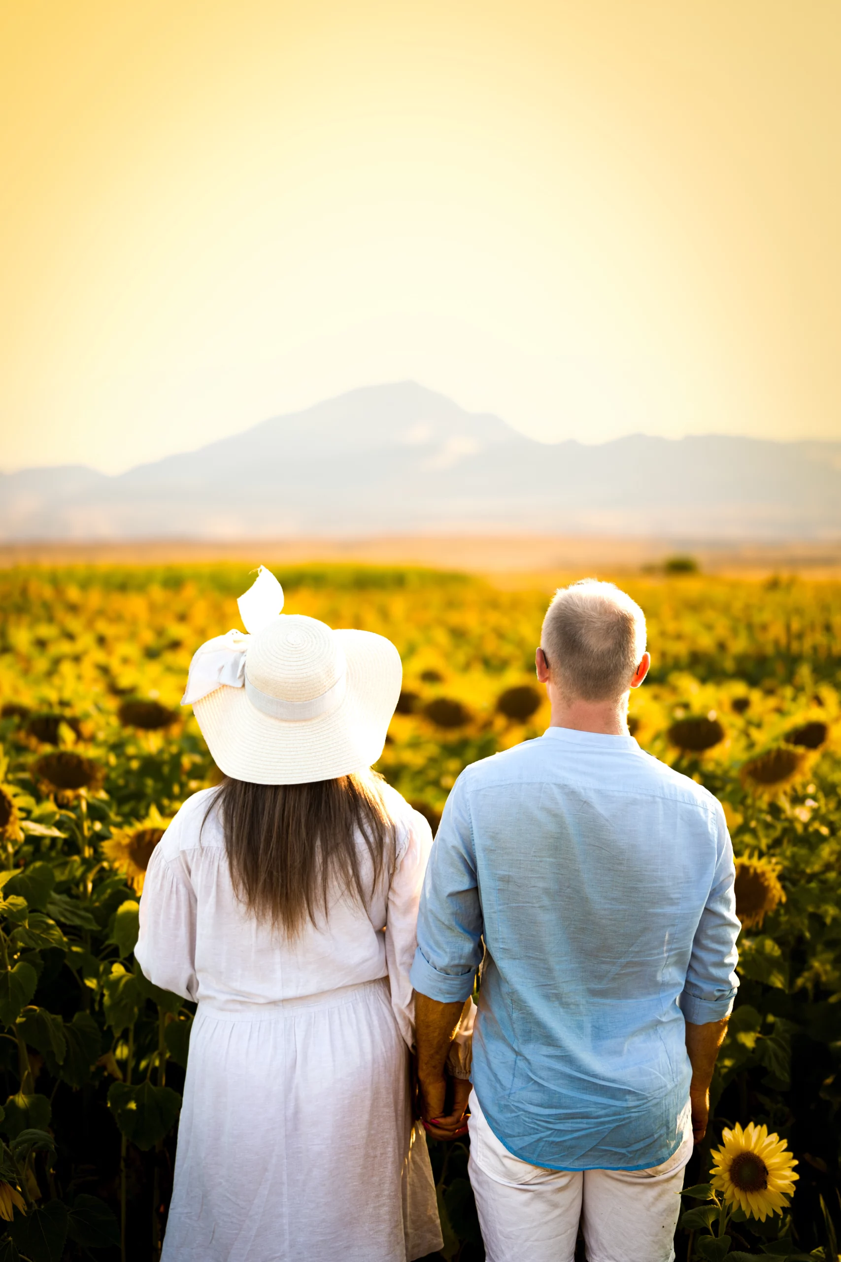 Sesja rodzinna w słonecznikach Poznań i okolice