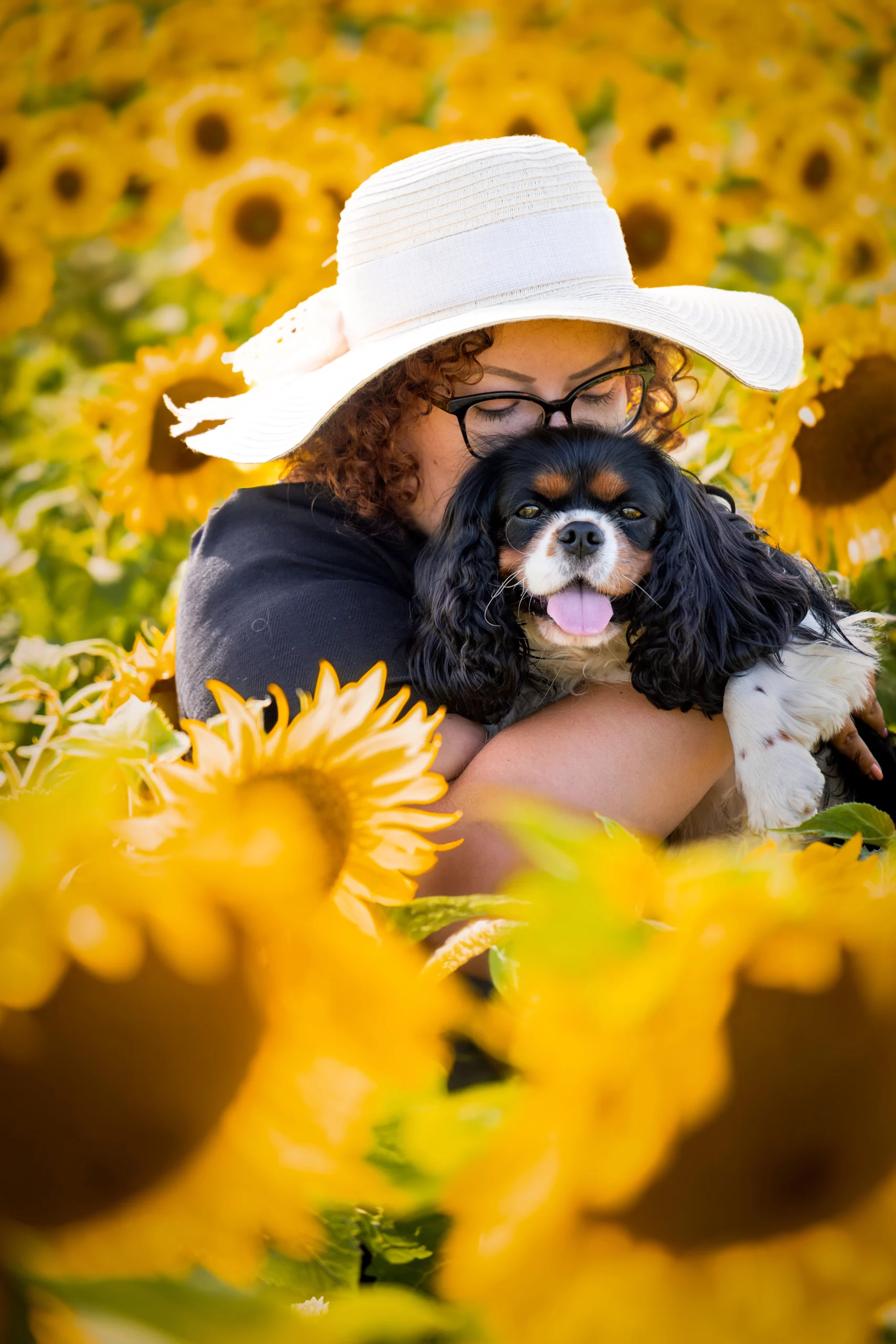 Sesja rodzinna w słonecznikach Poznań i okolice
