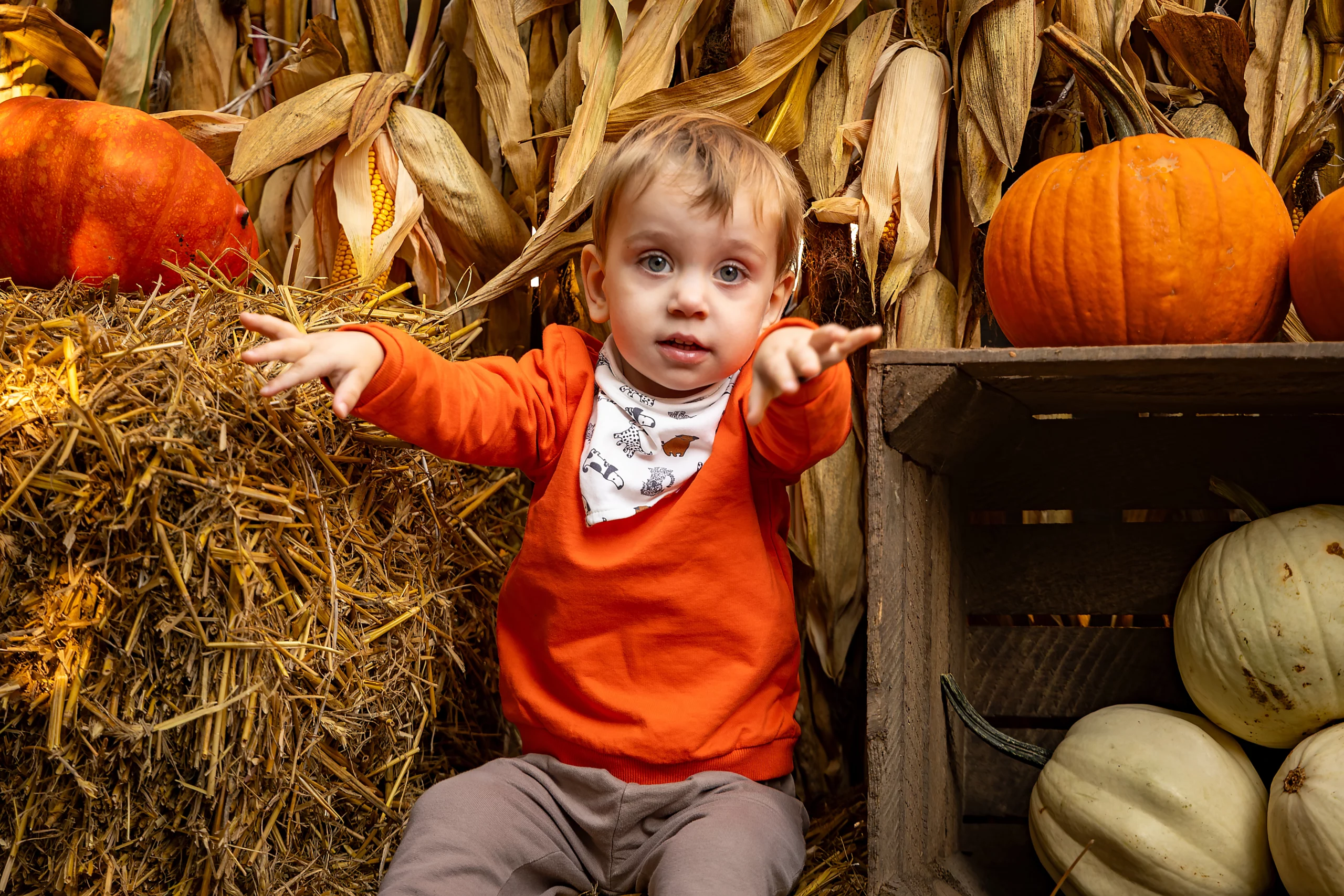 Fotograf Farma Dyniowa
