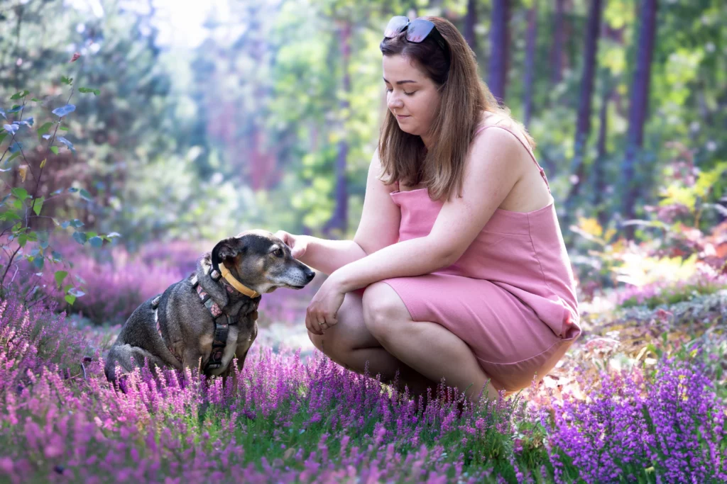 Sesja zdjęciowa we wrzosach