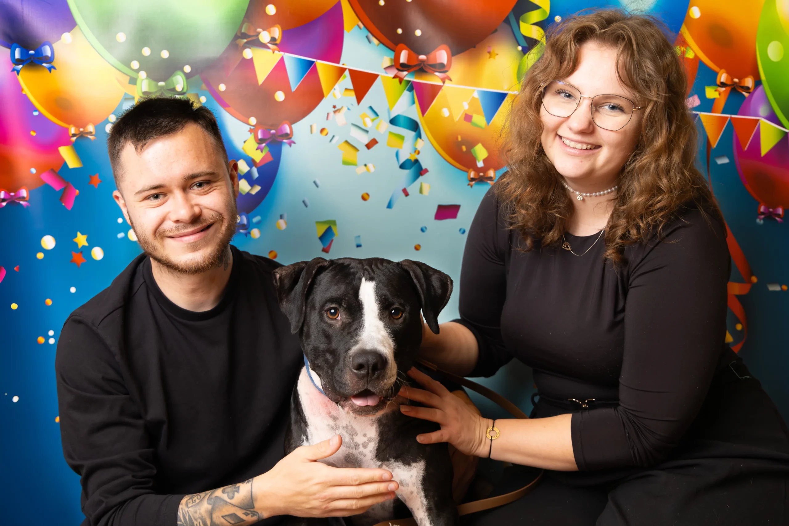 Sesja z psem w studio