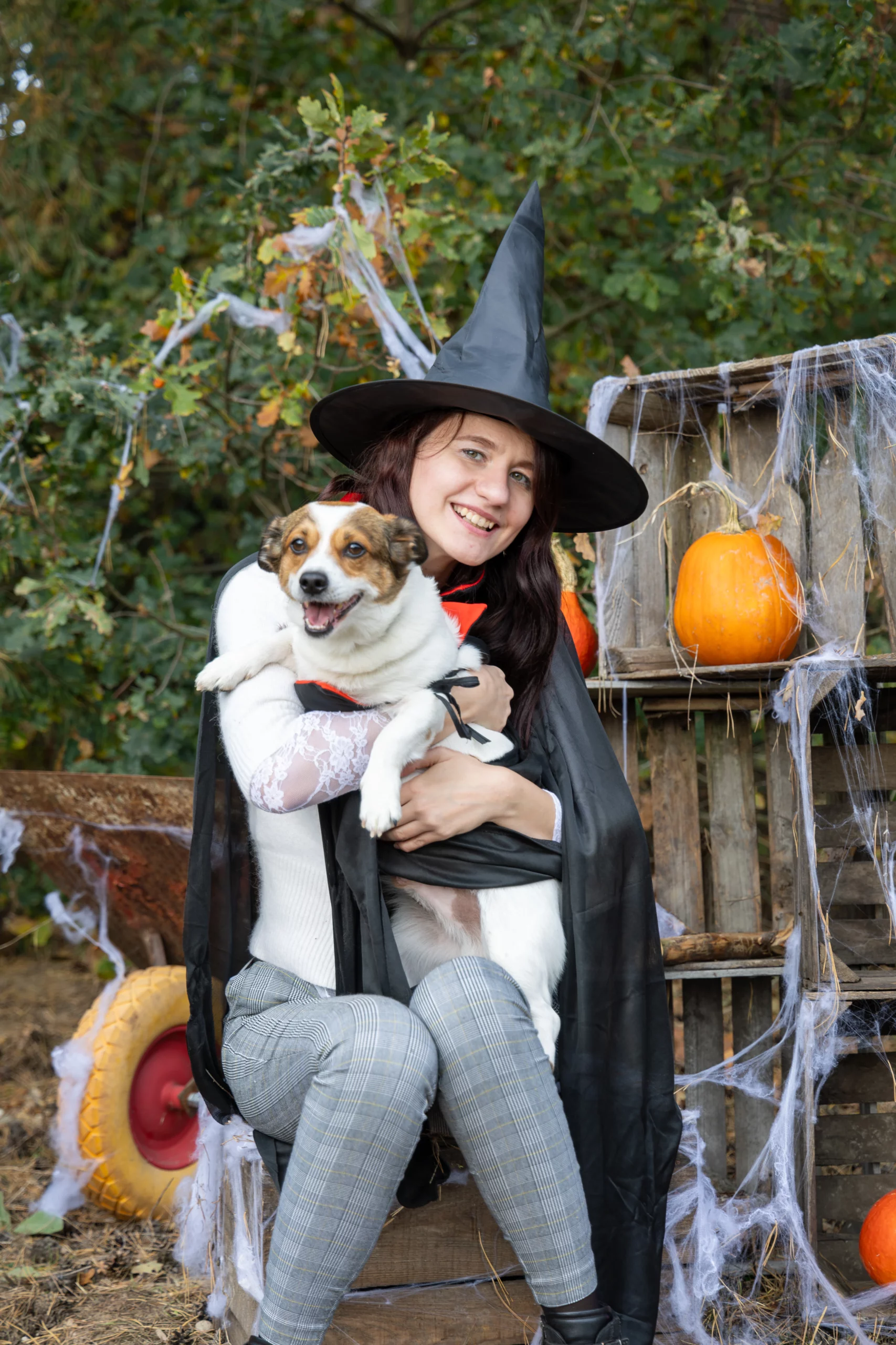 Sesja zdjęciowa z psem