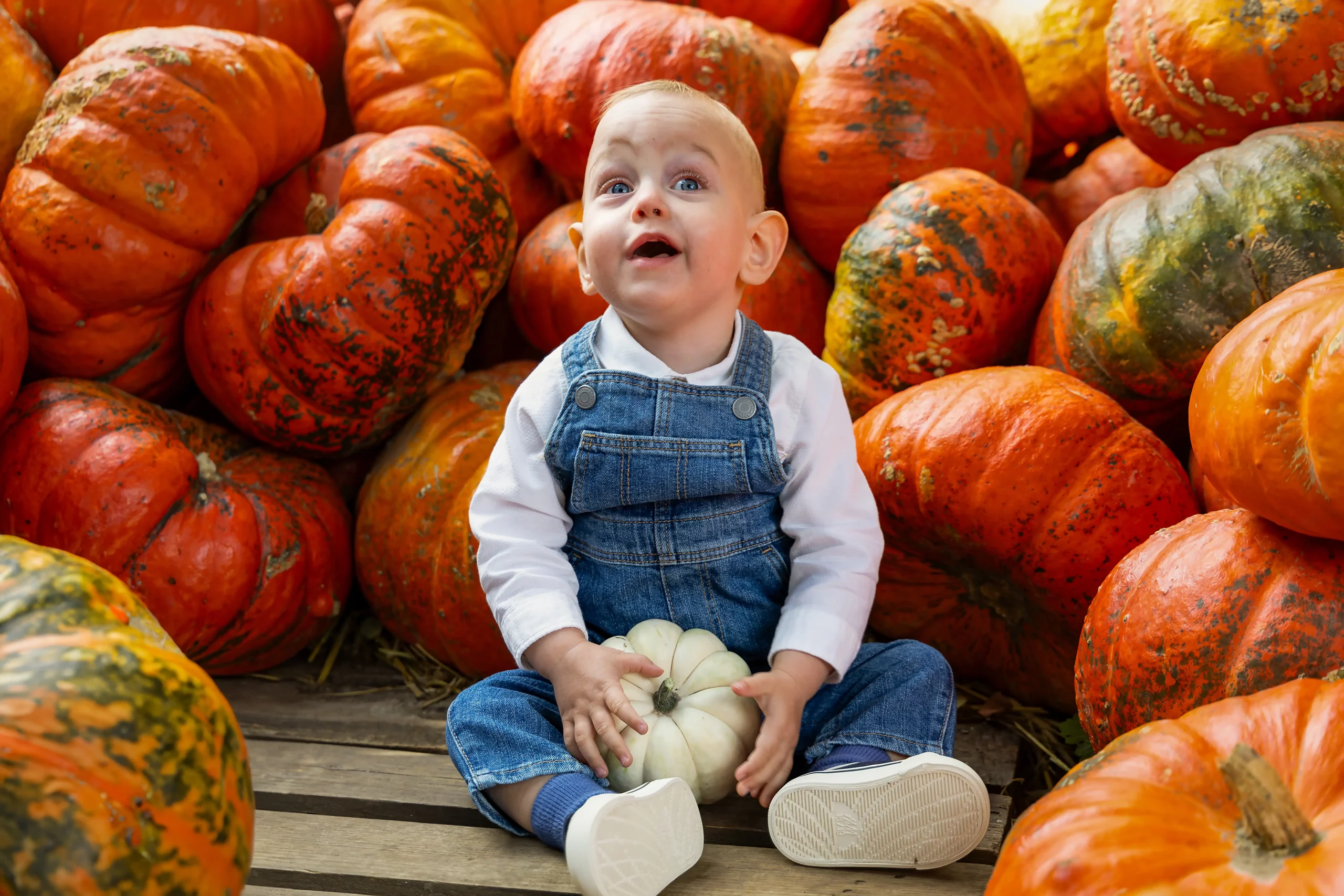 Sesja zdjęciowa na farmie dyniowej