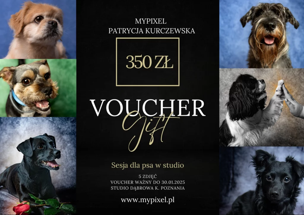 Voucher na sesje zdjęciową Poznań