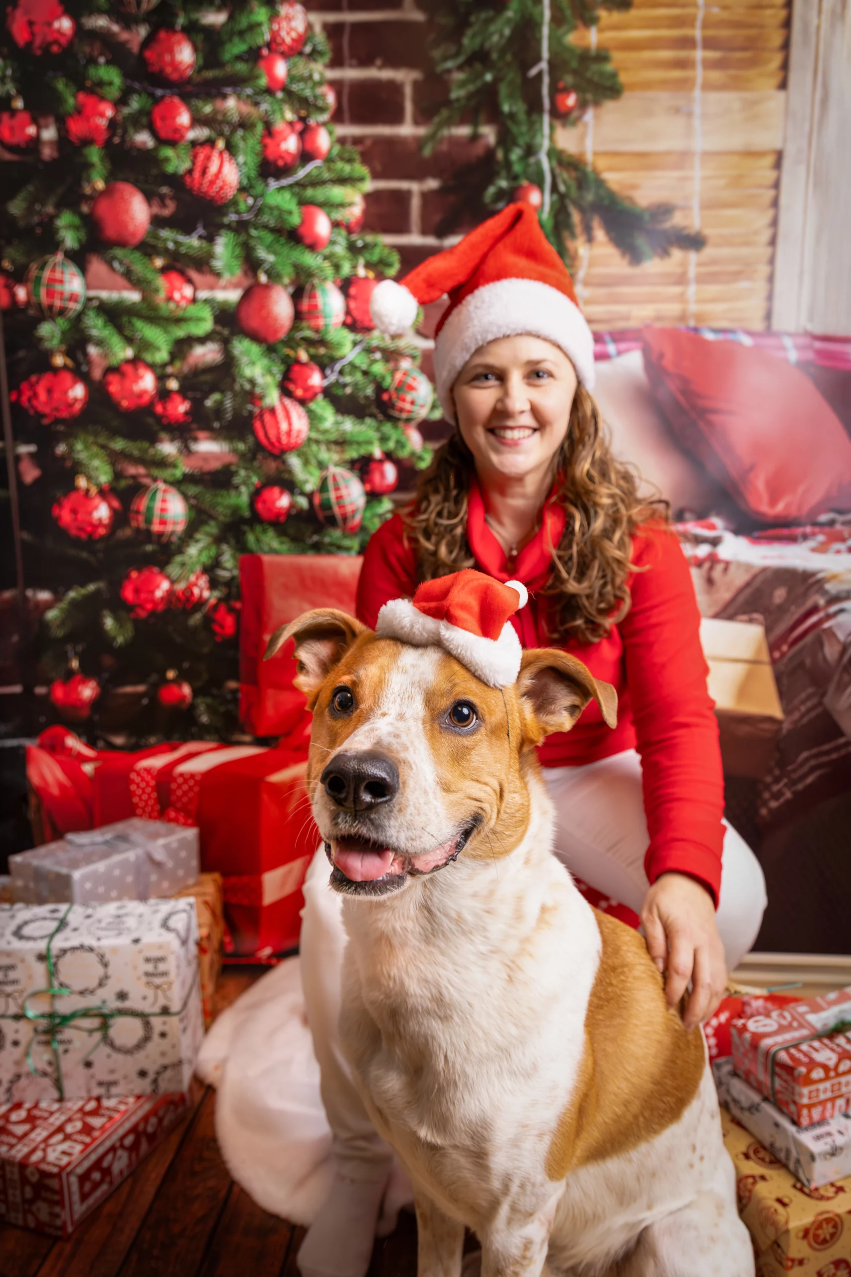 Sesja świąteczna z psem
