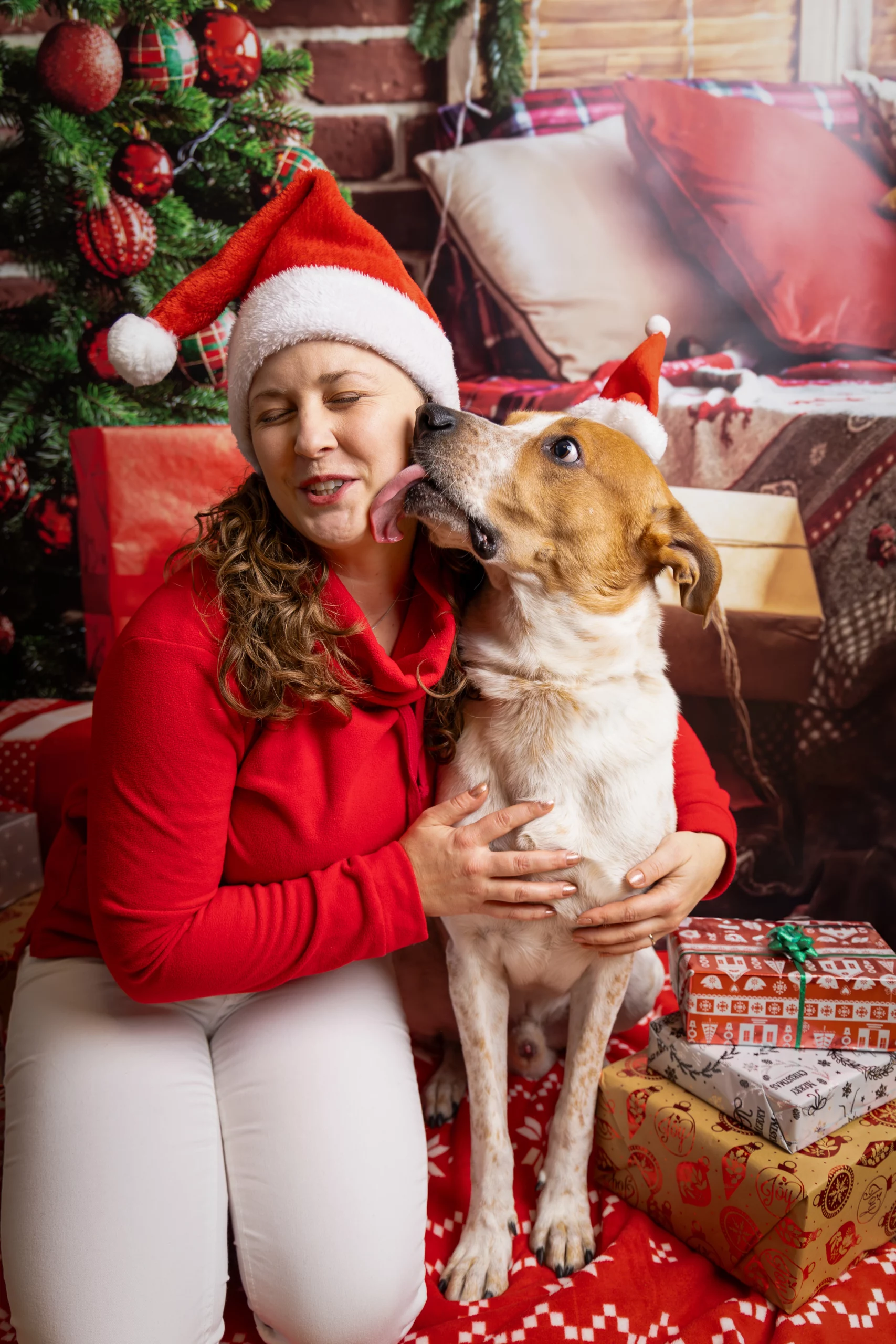 Sesja świąteczna z psem
