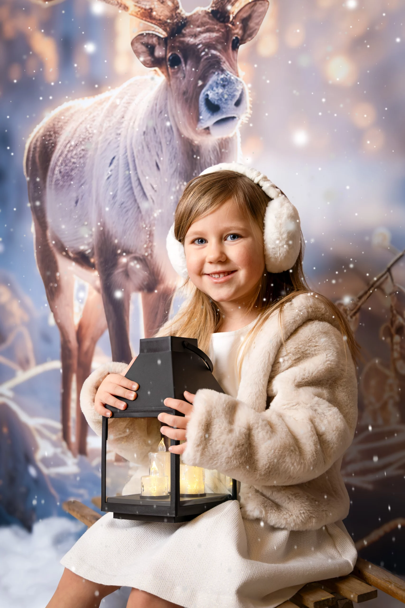 Sesja świąteczna Poznań