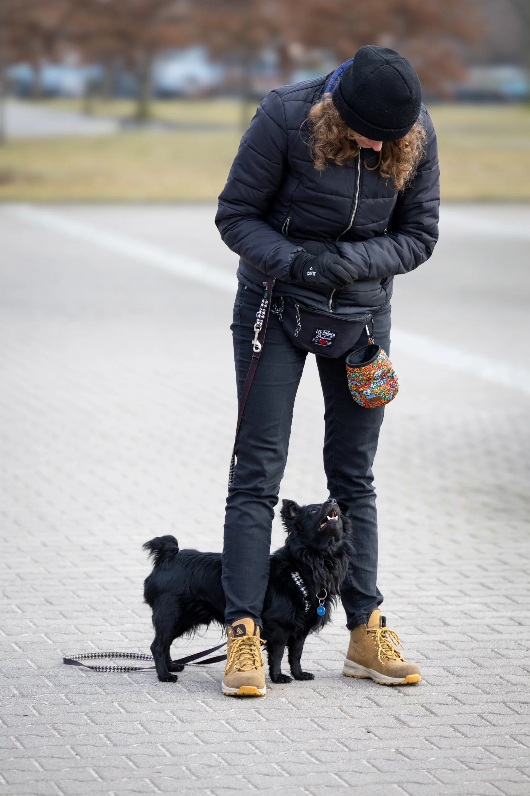 sesja trening z psem