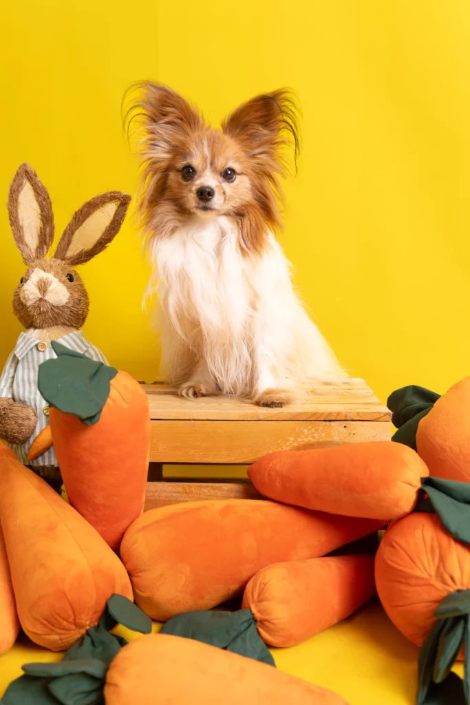 Wiosenna sesja zdjęciowa