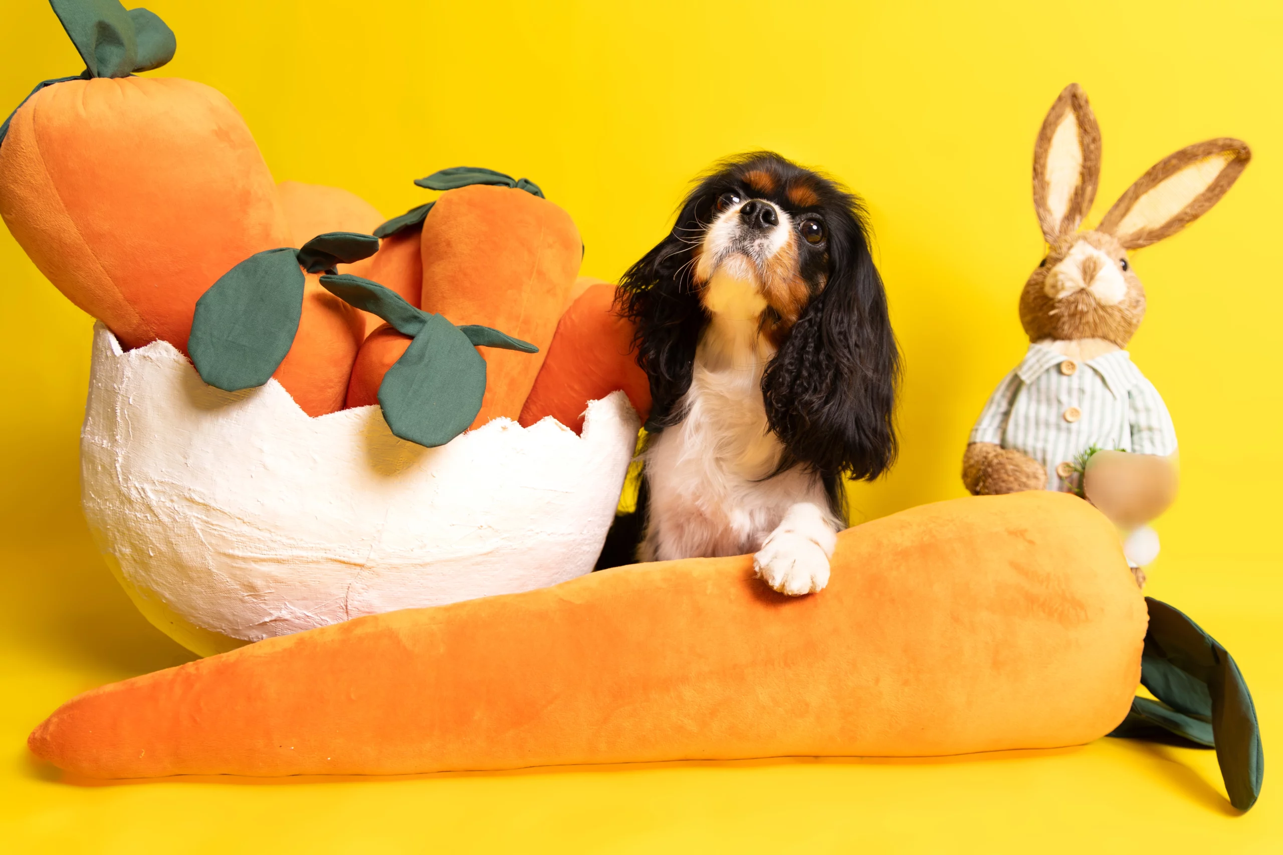 Wiosenna sesja zdjęciowa