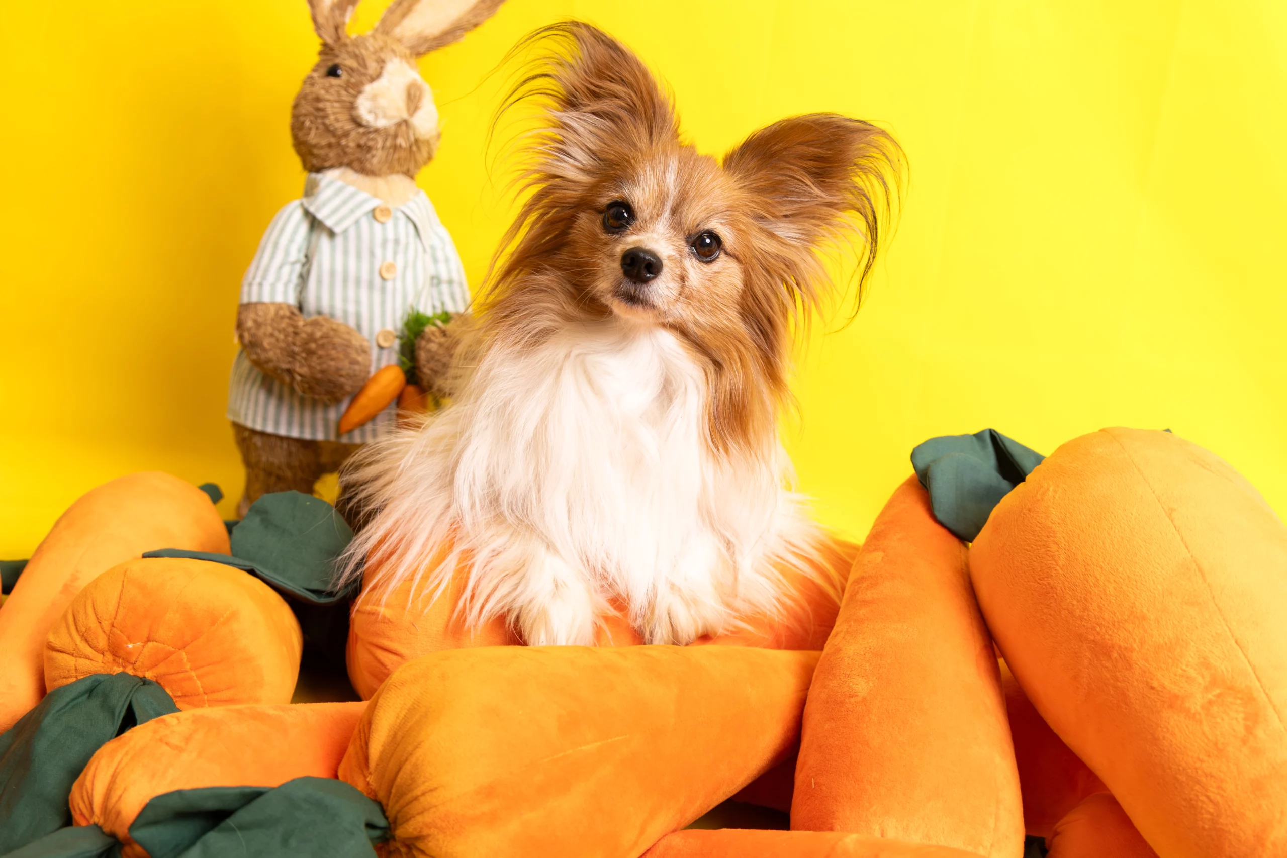 Wiosenna sesja zdjęciowa