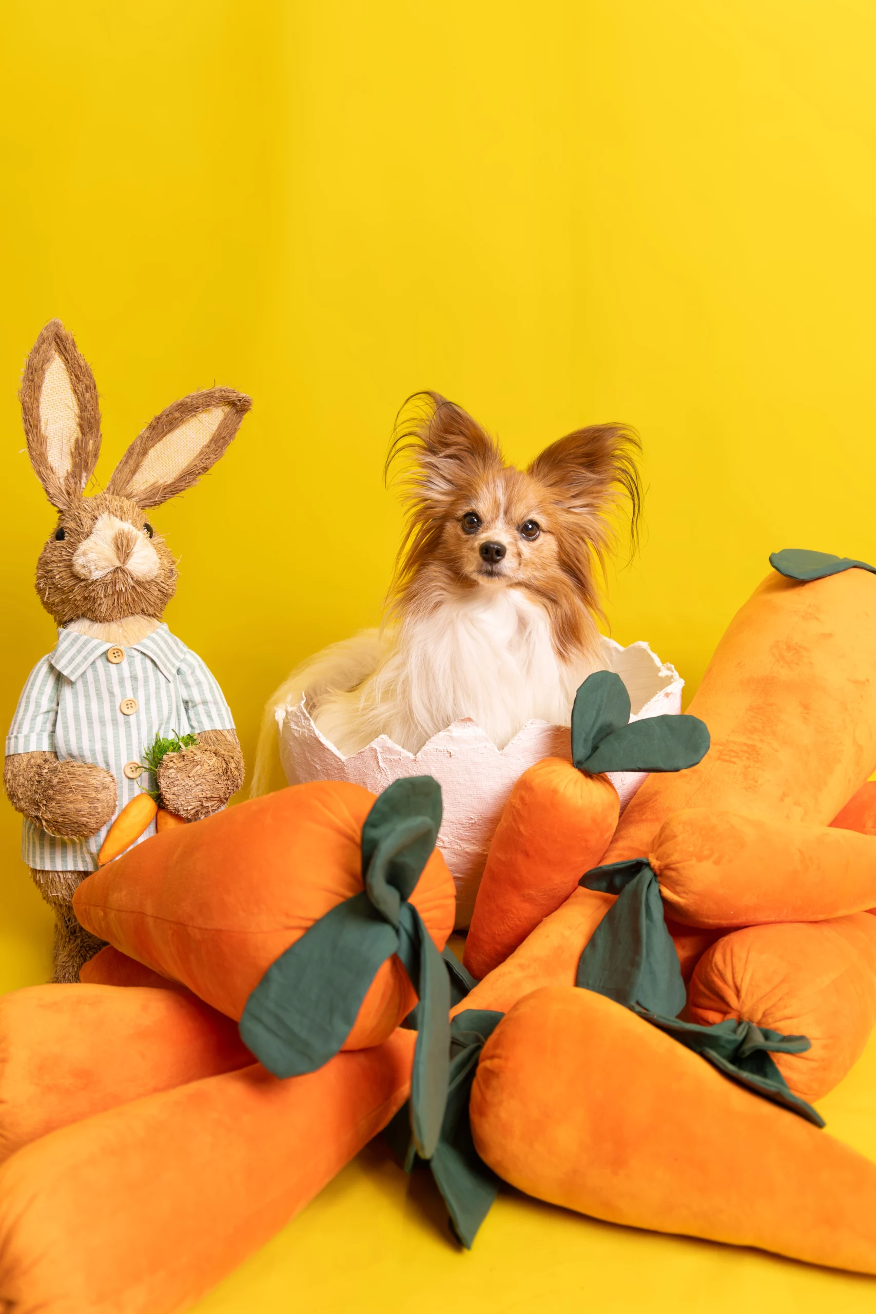 Wiosenna sesja zdjęciowa