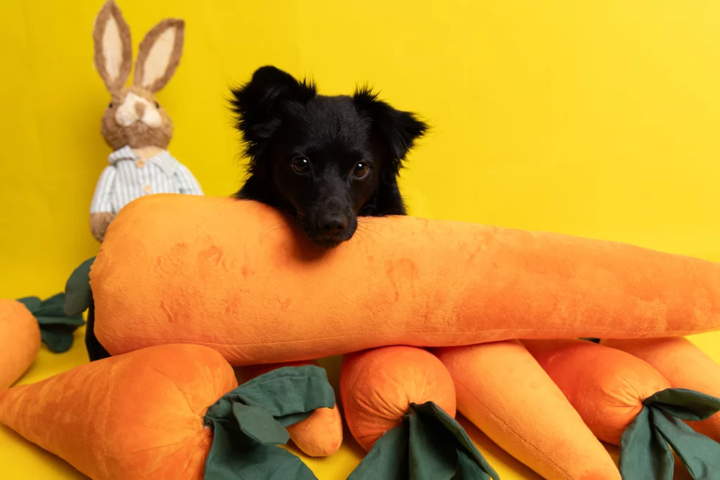 Wielkanocna sesja z psem