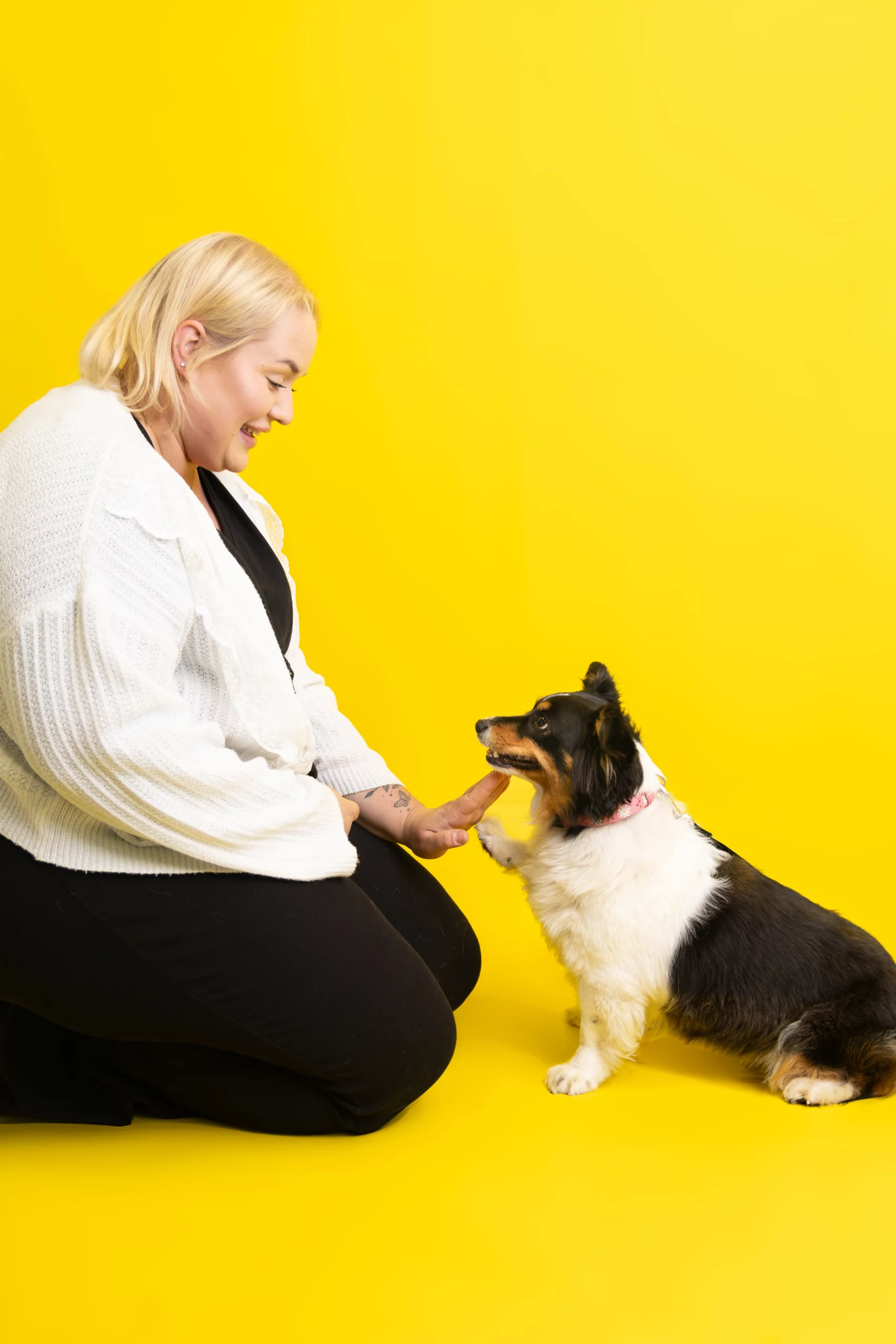 Sesja dla psa w studio