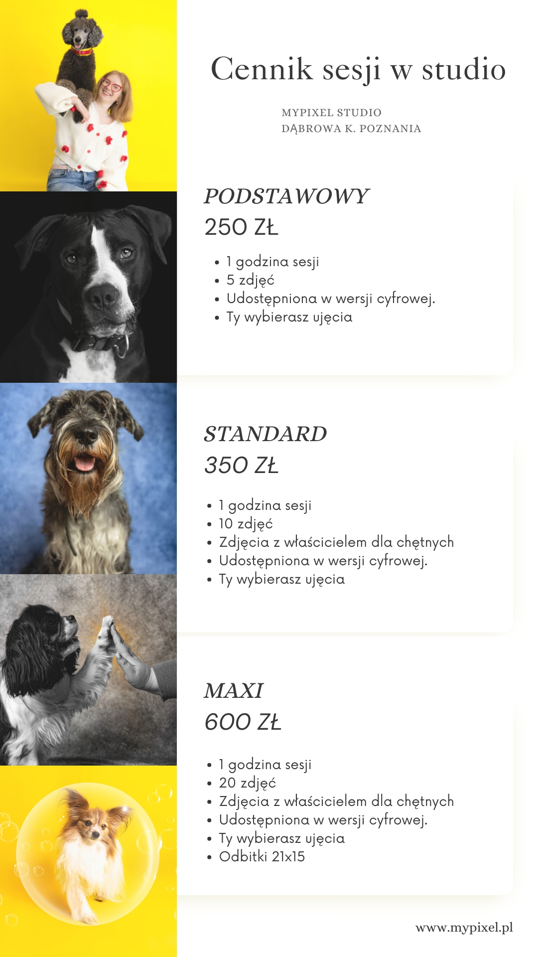 Cennik sesja z psem w studio Poznań, Dąbrowa