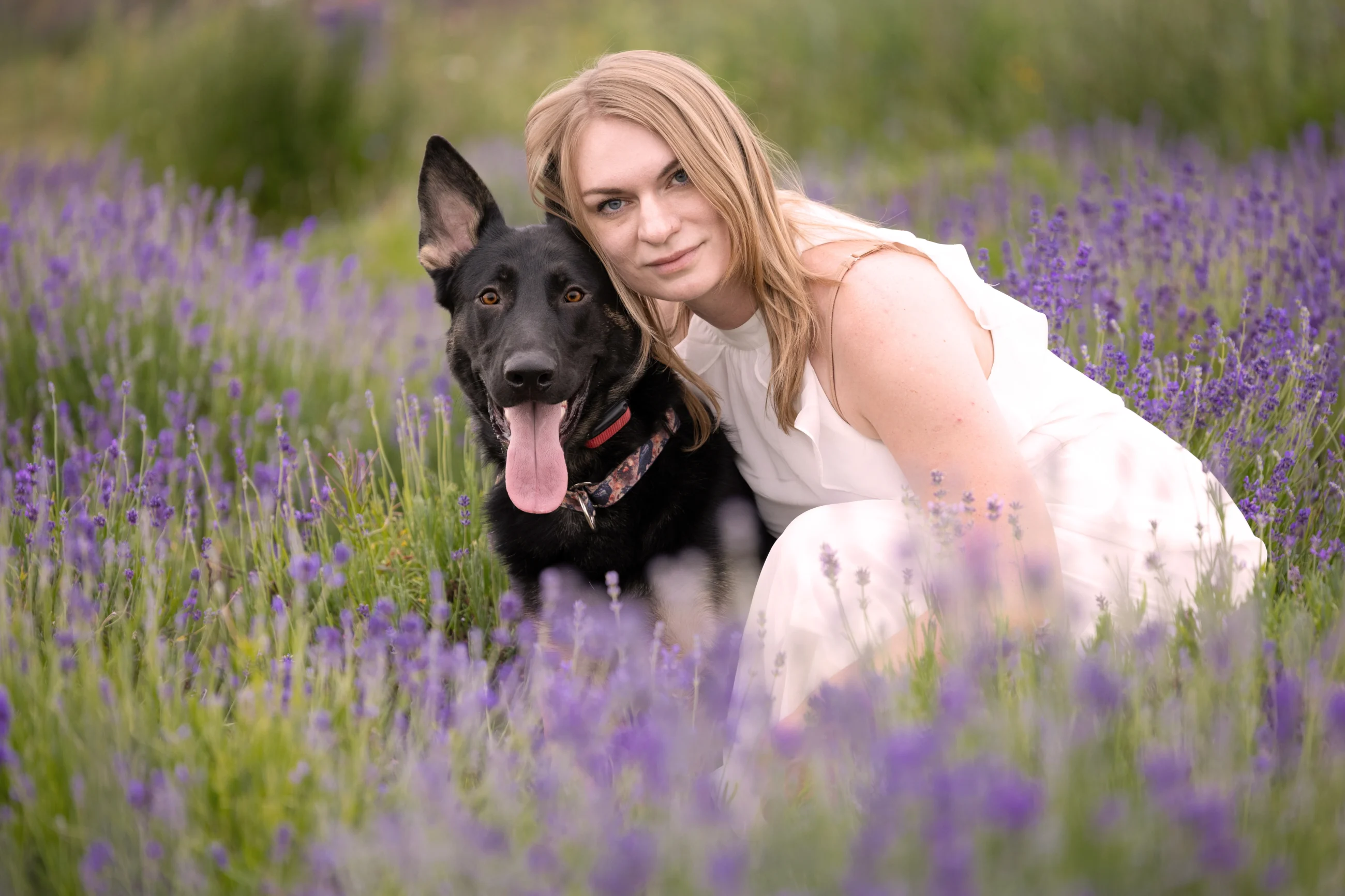 Sesja z psem w Lawendzie