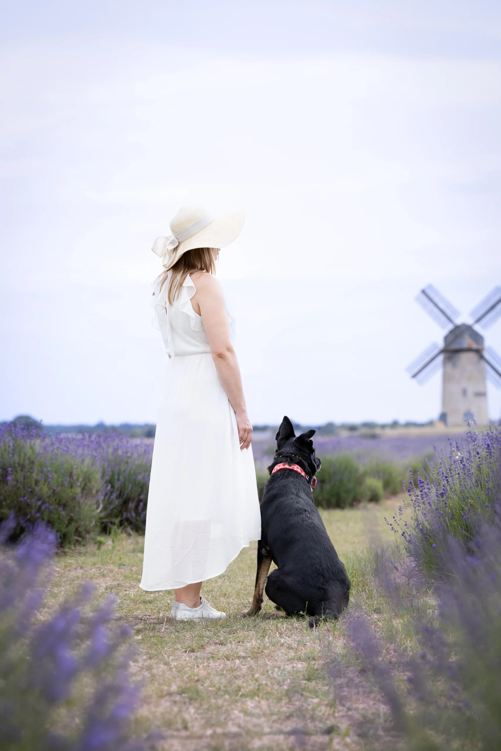 Sesja zdjęciowa w Lawendzie