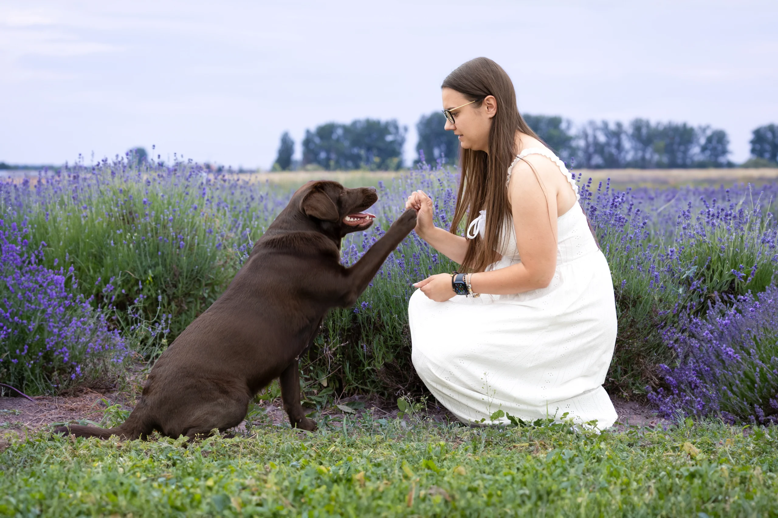 Sesja z psem w Lawendzie