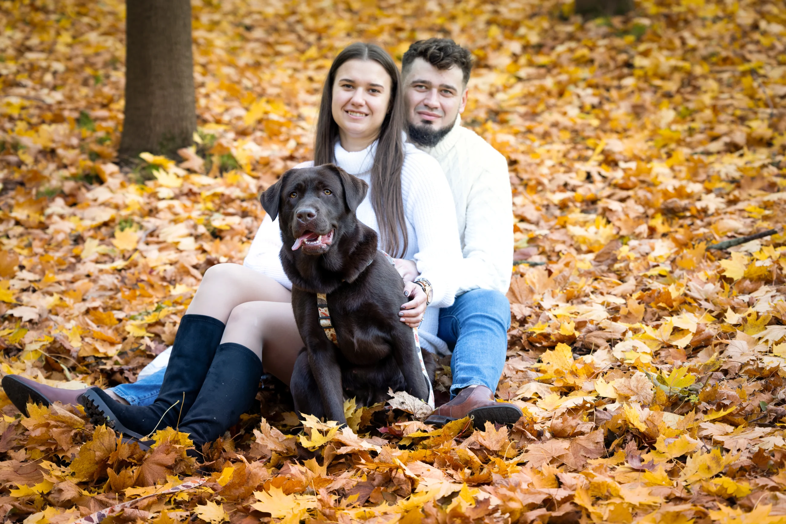 sesja jesienna z psem