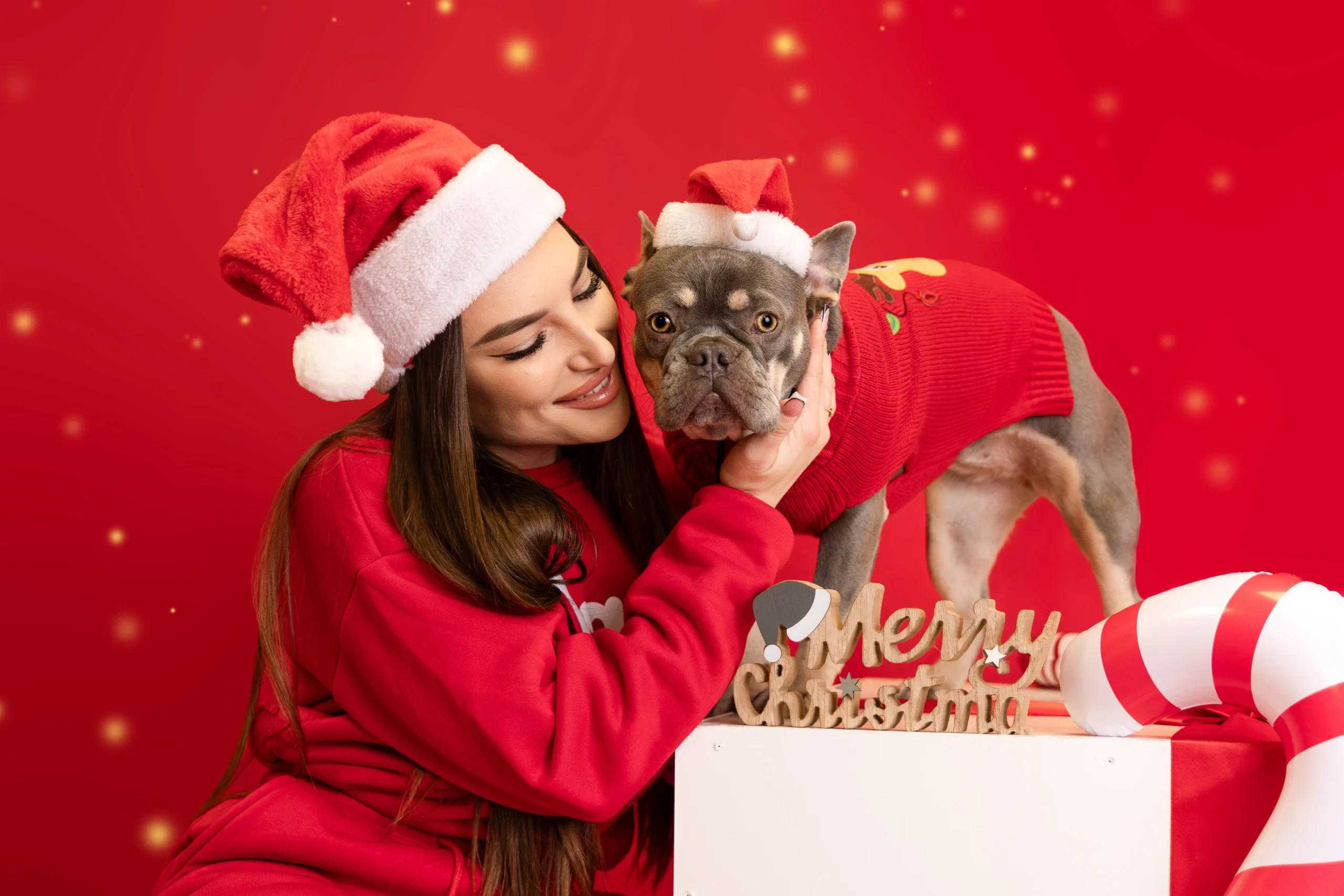 Sesja świąteczna z psem